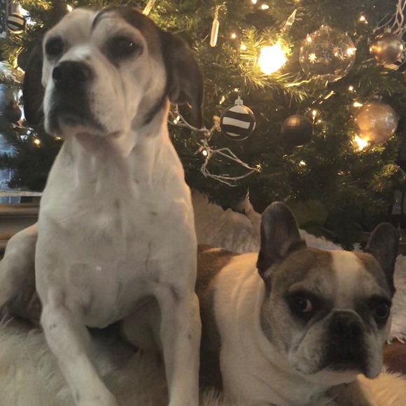 Meet your Posher, Ashlee - Picture 2 of 3